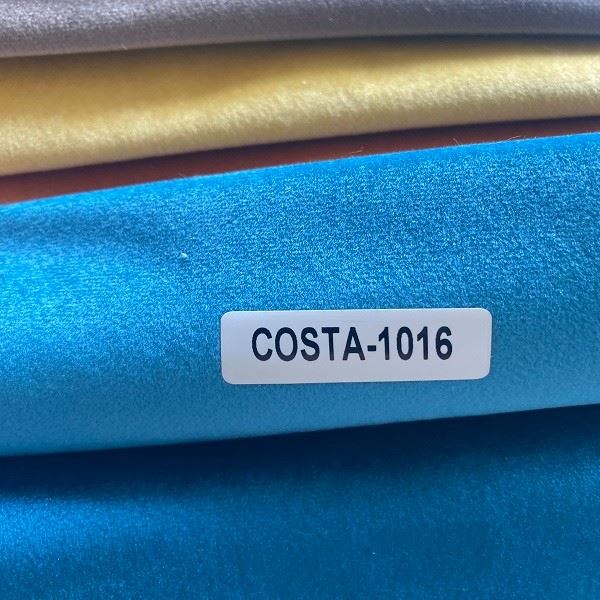 Coast Velour Fabric